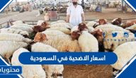 اسعار الاضحية في السعودية 2025