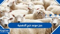 حجز موعد ذبح الاضحية الكويت عبر منصة متى ‏Meta.e.gov.kw