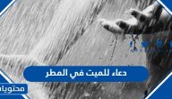 دعاء للميت في المطر