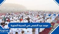 موعد صلاة عيد الاضحى في المدينة المنورة 2025 / 1446 واماكن الصلاة بالتفصيل