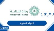 العوائد السنوية 1447 في السعودية … الاستعلام عن العوائد السنوية إلكترونيا
