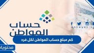 كم مبلغ حساب المواطن لكل فرد 1447