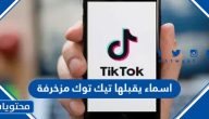 اسماء يقبلها تيك توك مزخرفة 2025