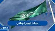 عبارات اليوم الوطني 2024 واجمل كلمات التهنئة والتبريك في العيد الوطني 94