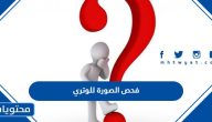 رابط موقع فحص الصورة للوتري 2025