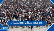 كم عدد سكان أفغانستان 2025