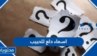 اسماء دلع للحبيب 2025