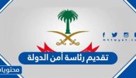 تقديم رئاسة أمن الدولة 1447 ورابط التقديم لرئاسه امن الدوله