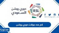 كم عدد جولات دوري روشن 2025