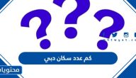 كم عدد سكان دبي 2025