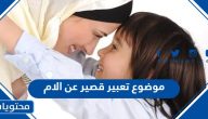 موضوع تعبير قصير عن الام 2025