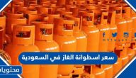 سعر اسطوانة الغاز في السعودية 2025