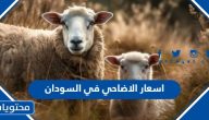 اسعار الاضاحي 2025 في السودان