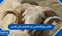 اماكن بيع الاضاحي عيد الاضحى 2026 في الاردن
