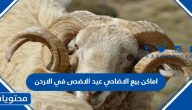 اماكن بيع الاضاحي عيد الاضحى 2025 في الاردن