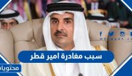 سبب مغادرة امير قطر قمة القاهرة للسلام الحقيقي