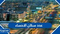 عدد سكان الاحساء 2025
