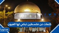 كلمات عن فلسطين تبكي لها العيون مكتوبة مع الصور