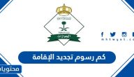 كم رسوم تجديد الإقامة 2025 في السعودية