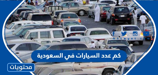 كم عدد السيارات في المملكة العربية السعودية 2024