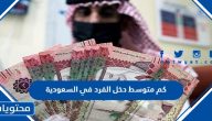 كم متوسط دخل الفرد في السعودية 2025