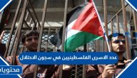 كم يبلغ عدد الاسرى الفلسطينيين في سجون الاحتلال الإسرائيلي 2024