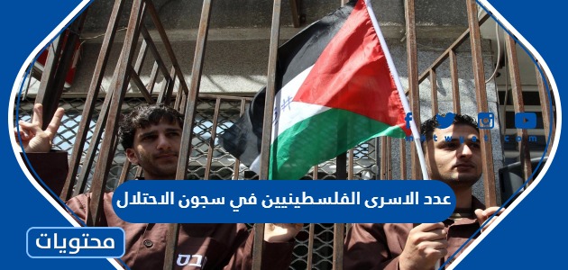 كم يبلغ عدد الاسرى الفلسطينيين في سجون الاحتلال الإسرائيلي 2024