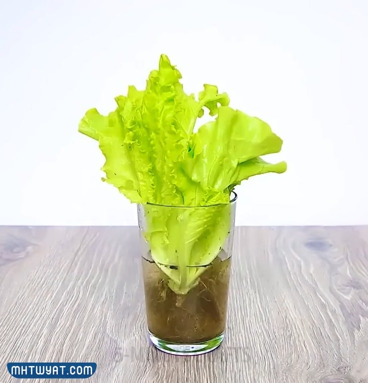 افكار اعادة تدوير للاطفال في المدارس