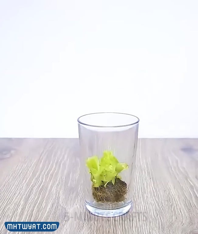 افكار اعادة تدوير للاطفال في المدارس