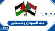 صور علم السودان وفلسطين png