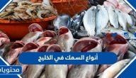 أنواع السمك في الخليج العربي مع الصور