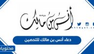 دعاء أنس بن مالك رضي الله عنه للتحصين pdf