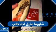 هل شاروما هليل تبيع لحم كلاب حقيقة اغلاق شاورما هليل