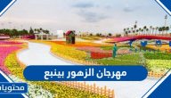 مهرجان الزهور بينبع (الموعد + الموقع + الفعاليات)