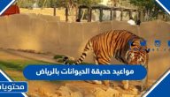 جدول مواعيد حديقة الحيوانات بالرياض 2025