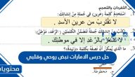 حل درس الامارات نبض روحي وقلبي