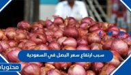 ماهو سبب ارتفاع سعر البصل في السعودية