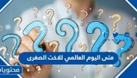 متى اليوم العالمي للاخت الصغرى 2025 وكيف يتم الاحتفال به