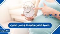 حاسبة الحمل والولادة وجنس الجنين