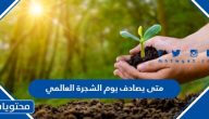 متى يصادف يوم الشجرة العالمي 2025