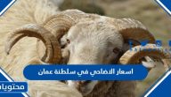 اسعار الاضاحي 2025 في سلطنة عمان