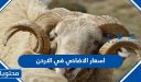 اسعار الاضاحي في الاردن 2025