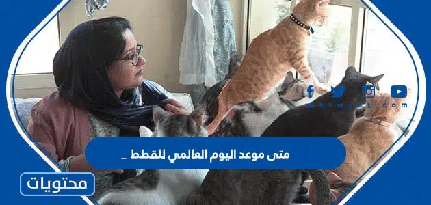 متى موعد اليوم العالمي للقطط 2025