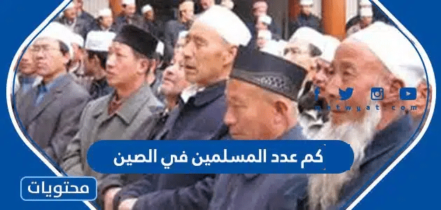 كم عدد المسلمين في الصين 2025