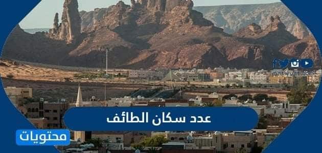 عدد سكان الطائف 2025