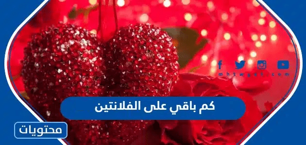 كم باقي على الفلانتين 2025 العد التنازلي