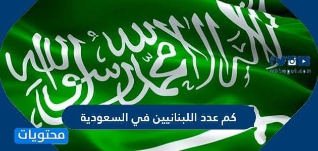 كم عدد اللبنانيين في السعودية 2025