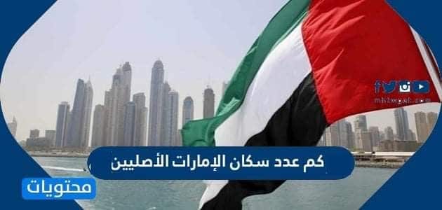 كم عدد سكان الإمارات 2024 الأصليين