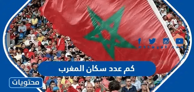 كم عدد سكان المغرب 2025