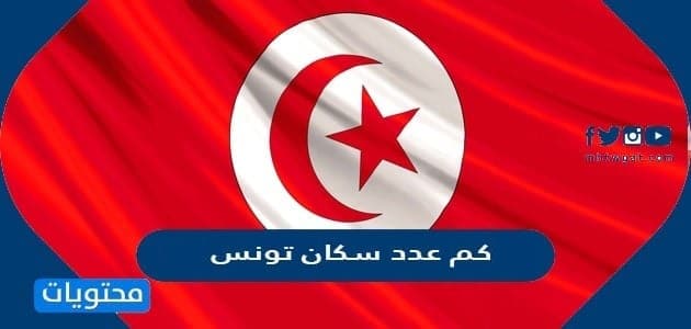 كم عدد سكان تونس 2025